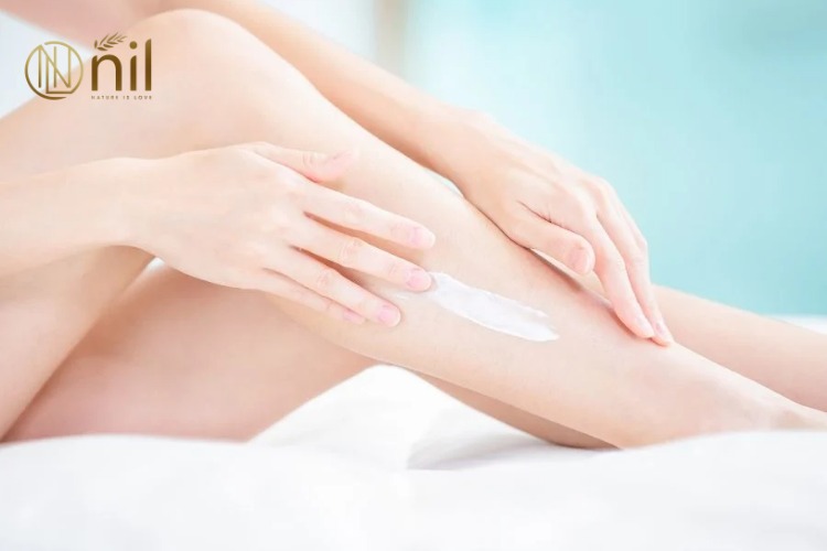 Gel lô hội – Thành phần không thể thiếu trong kem dưỡng trắng da