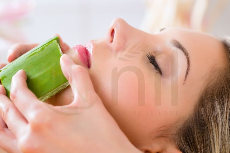 Có nên mua gel nha đam sẵn?