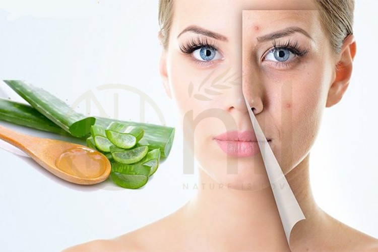 Một số lưu ý khi sử dụng nha đam dưỡng da