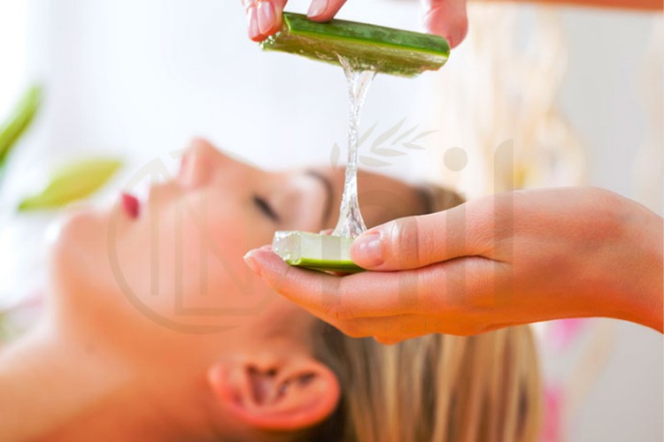 Cách dưỡng da bằng nha đam tươi
