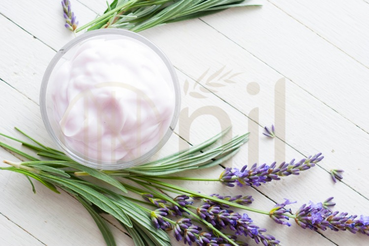 Top kem dưỡng ẩm da mặt tốt nhất đáng mua năm 2025