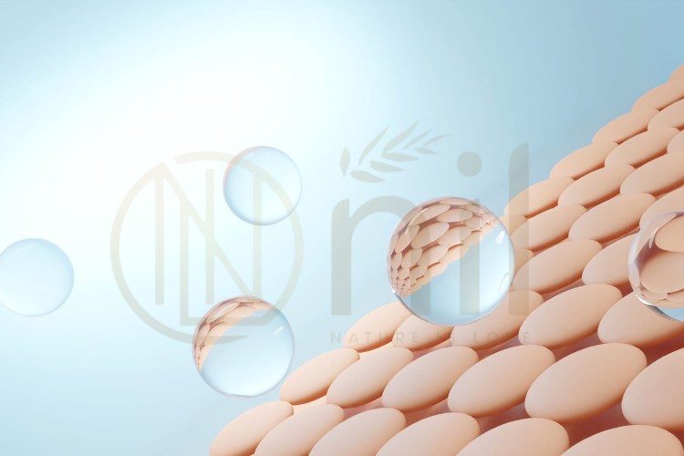 Vì sao kem dưỡng ẩm body của Nhật lại được nhiều người tin dùng?