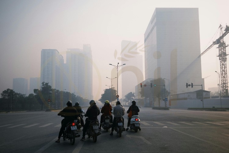 Thời tiết mưa gió, độ ẩm cao